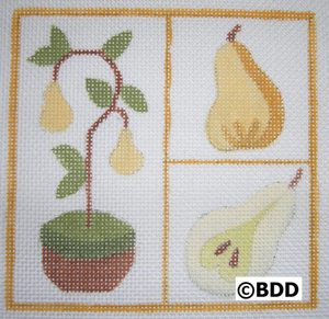 A picture of four different pears on the same square.