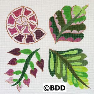 A group of four different types of leaves.