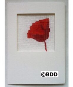 A picture of a red leaf in front of a white background.