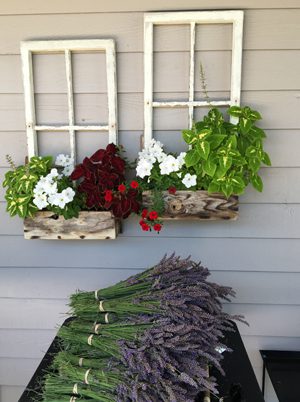 A bunch of flowers hanging on the wall