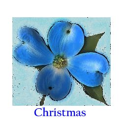 A blue flower with the word christmas underneath it.