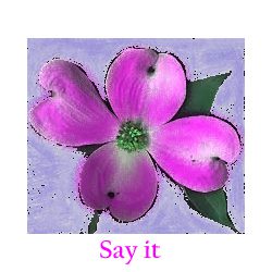 Say It