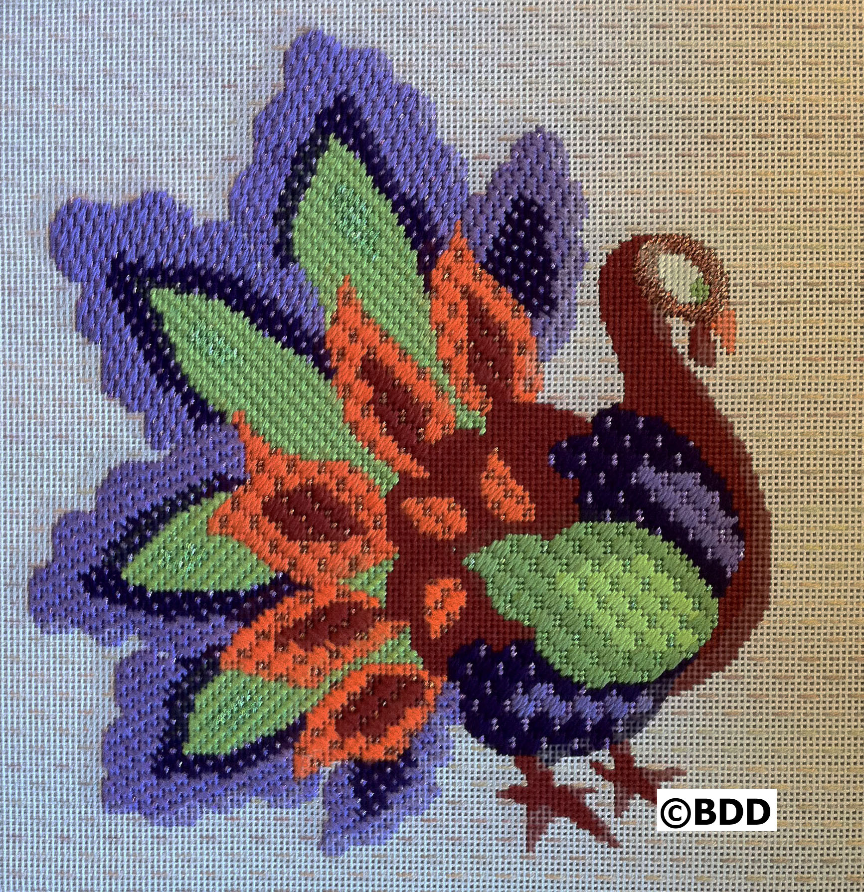 Turkey Feathers - Image 4