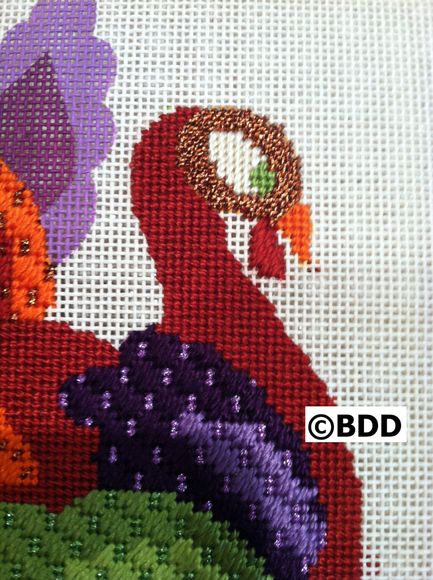 Turkey Feathers - Image 3