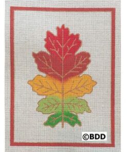 A red, green and yellow leaf on a white background.