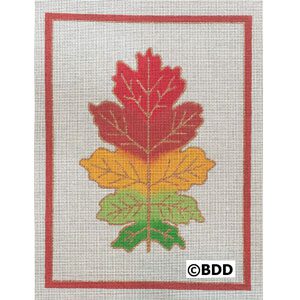 A red, green and yellow leaf on a white background.