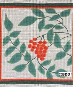 A picture of some leaves and berries on it.