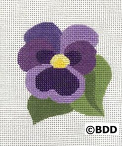 A purple pansy with green leaves on it.