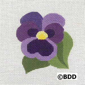 A purple pansy with green leaves on it.