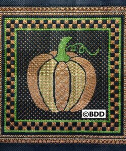 A pumpkin is shown in this picture.