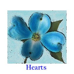 A blue flower with the word hearts underneath it.