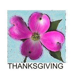 A pink flower with leaves on it and the word thanksgiving underneath.