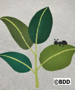 A picture of a bug on the leaves.