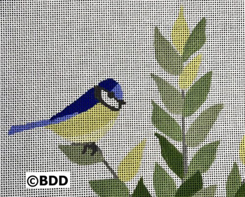 Bluebird on green leafy branch.