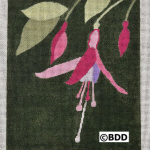 Woodland Fuschia