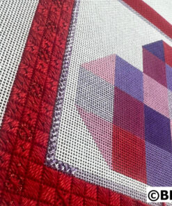 Needlepoint canvas with red border and blocks